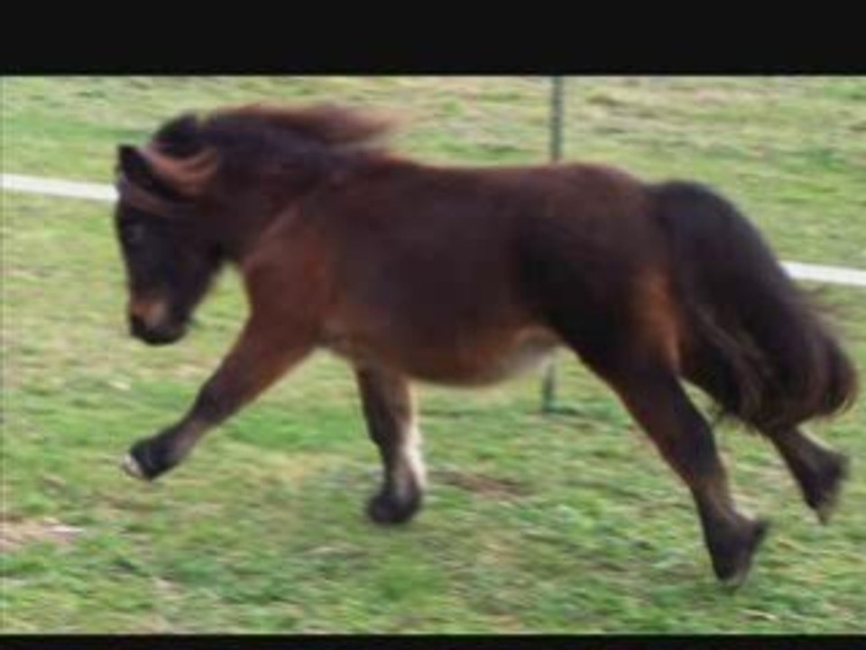 Tango, résumé 1 an de vis commune