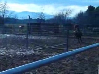 Cours de saut 8e essai