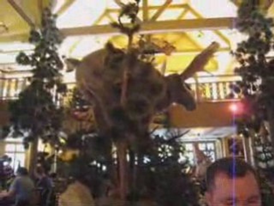 Repas à Six Flags Magic Mountains