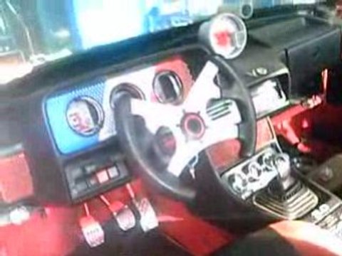 Kaya performans 06 ZML 30