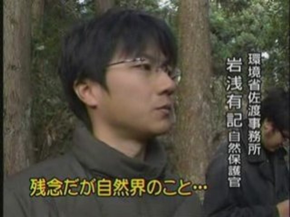 朱鷺15号安らかに
