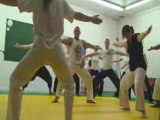 stage topazio de capoeira donner par le prof verdugo