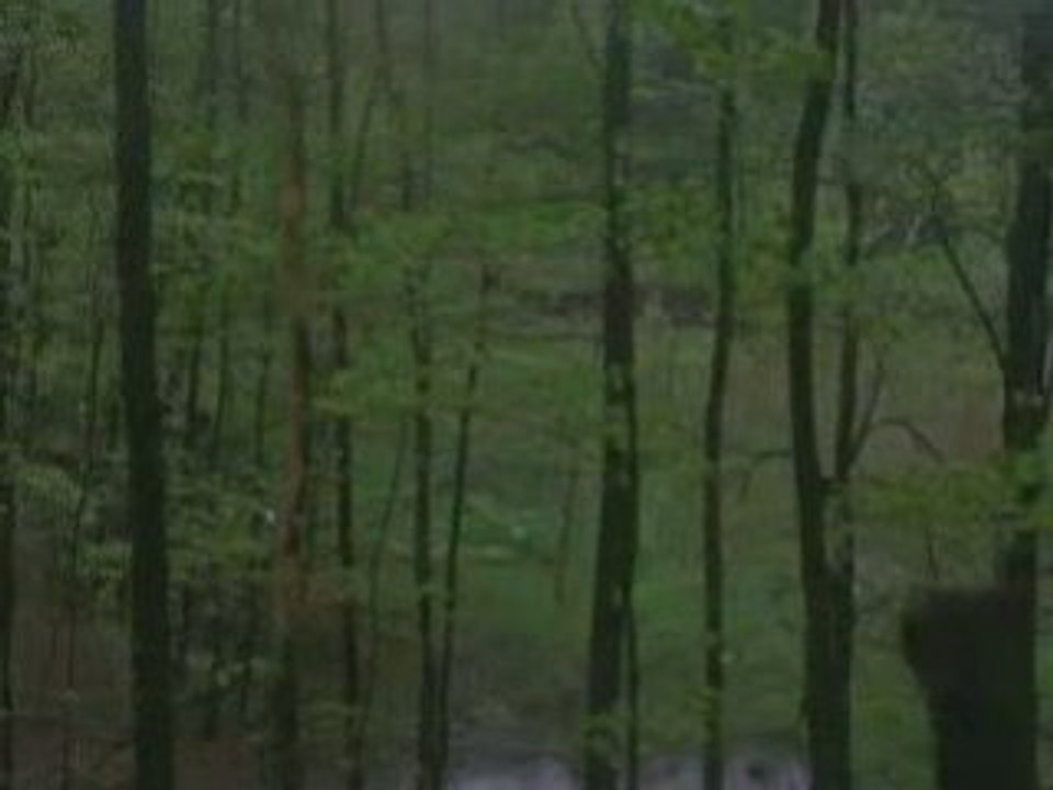 Death to Birth (Tribute to Kurt Cobain)