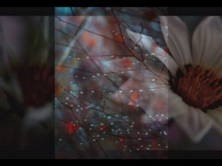 Ennio Morricone - Chi Mai