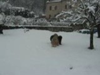 César et Clovis dans la neige 2