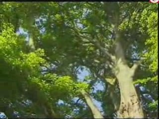 Les Miracles Scientifiques du CORAN Vol4 Part1