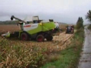 Battage maïs 8 rangs 2008