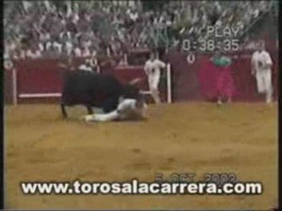 Concurso de recortes Torres de la Alameda 2002