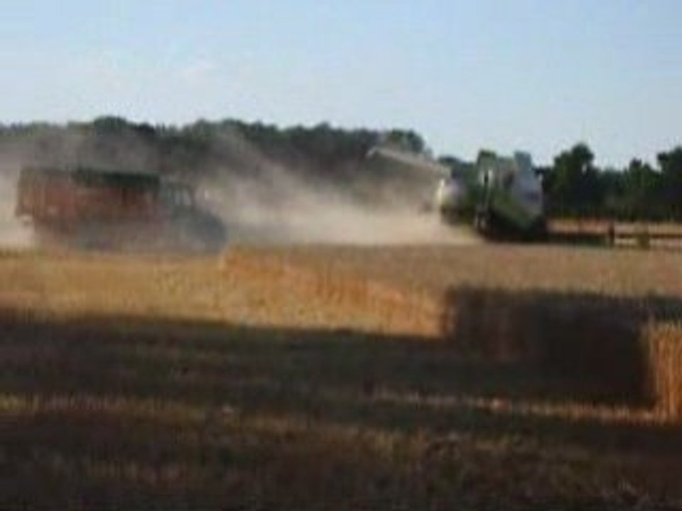 Blé 2008 n1