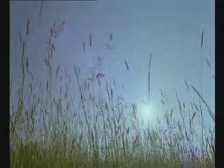 BETTY MARS- J AI LE MAL DE TOI