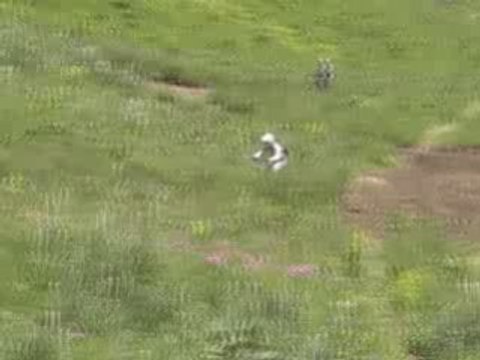 yann ballester vtt freeride 4