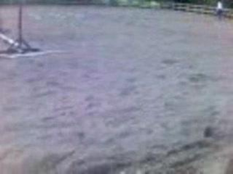 Canter kizzy !