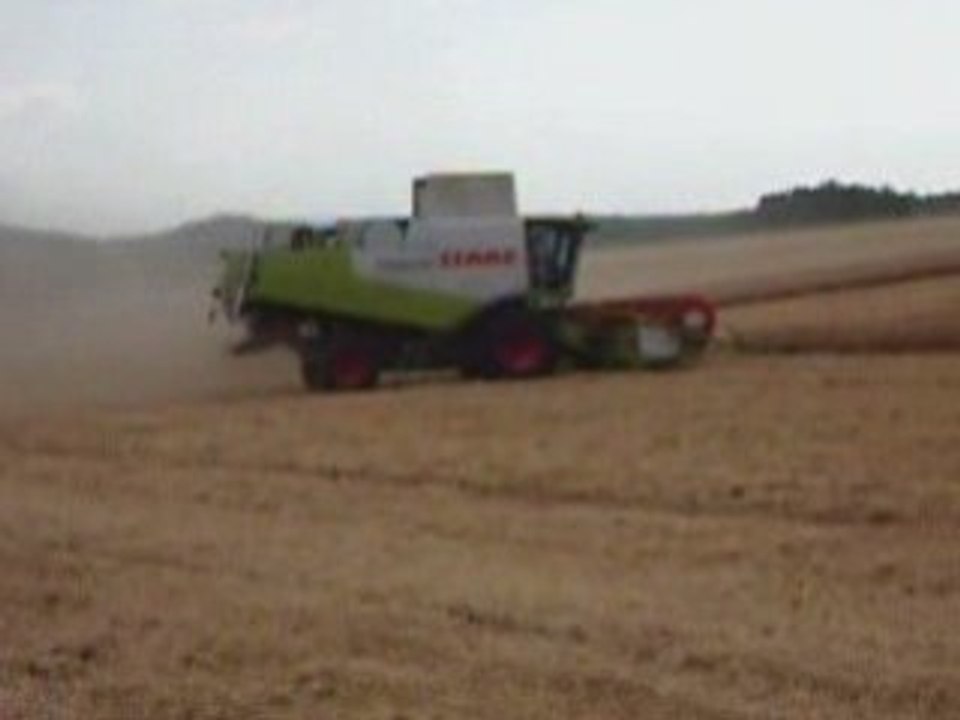 Blé 2008 n3