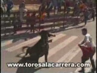 Encierros en Villanueva del Pardillo 2002