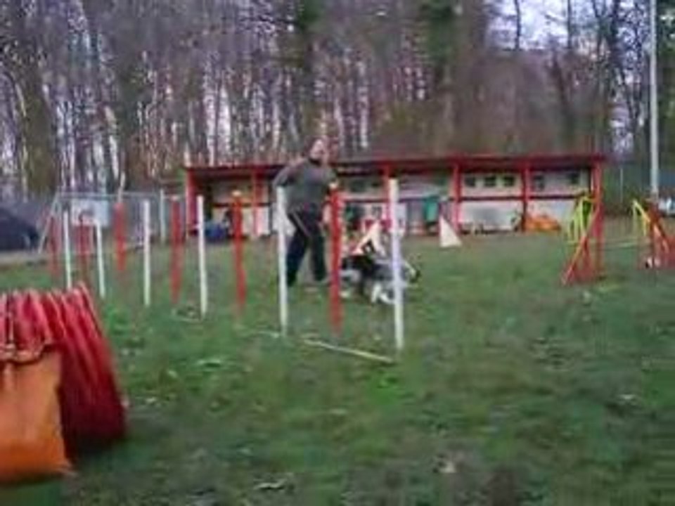 Entrainement d'agility du 14/12/2008 Dixie 2