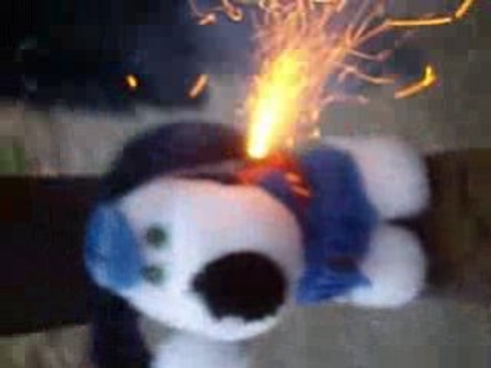 Petard peluche