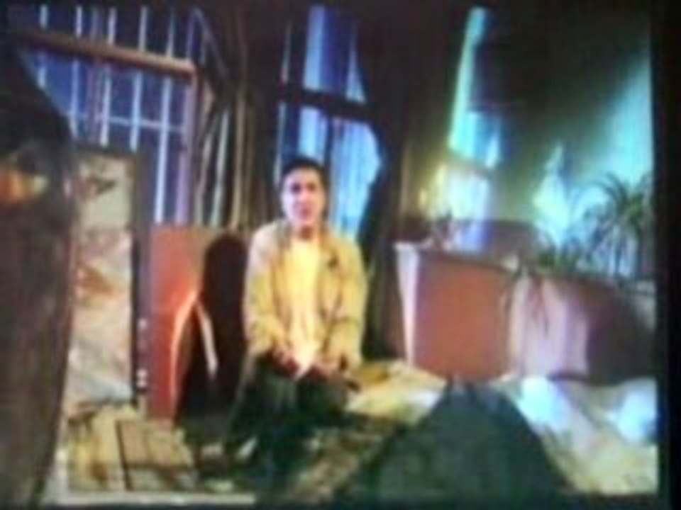 suat merih