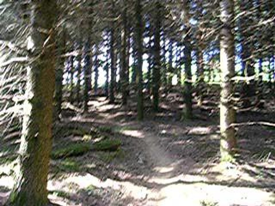 DSCN3475