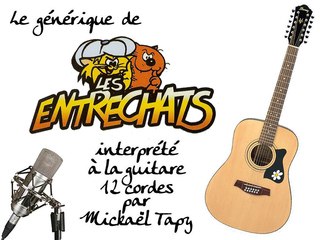 Les Entrechats (générique à la guitare 12 cordes)