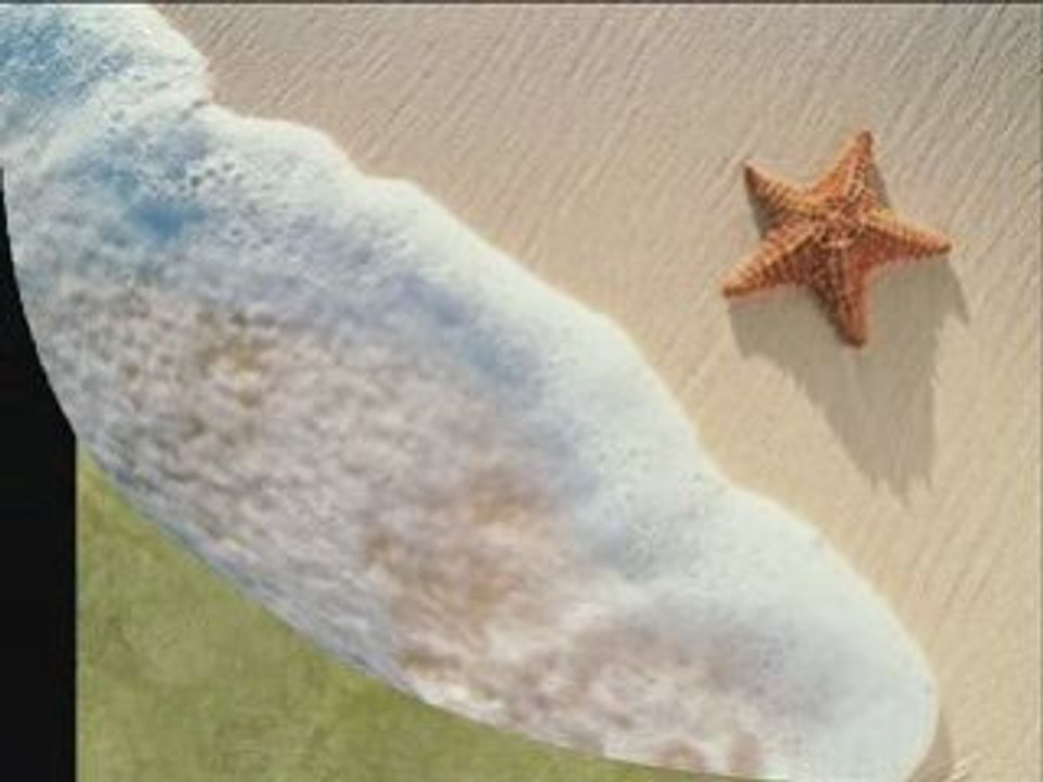 SOUS UNE PLUIE D ETOILES