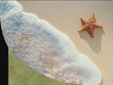 SOUS UNE PLUIE D ETOILES