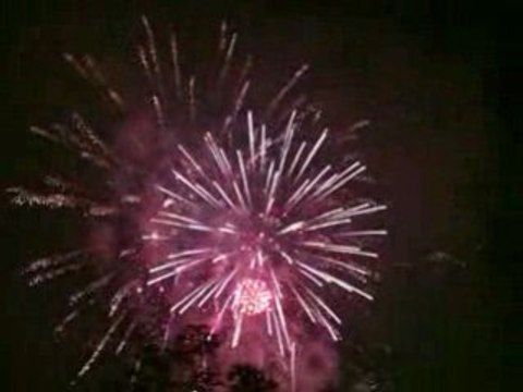 Feu D'artifice de Rennes 14 juillet 2007 ( 1/2 )