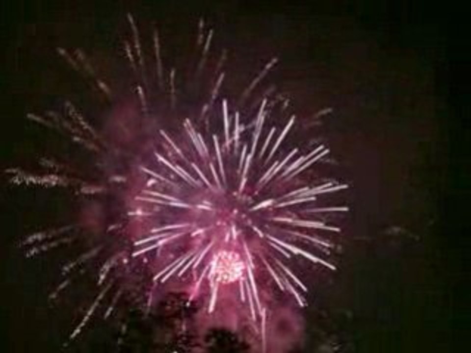 Feu D'artifice de Rennes 14 juillet 2007 ( 1/2 )