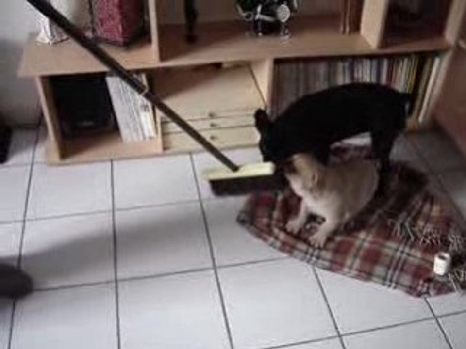 MOV04140