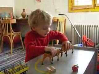 Taureaux taureaux!...