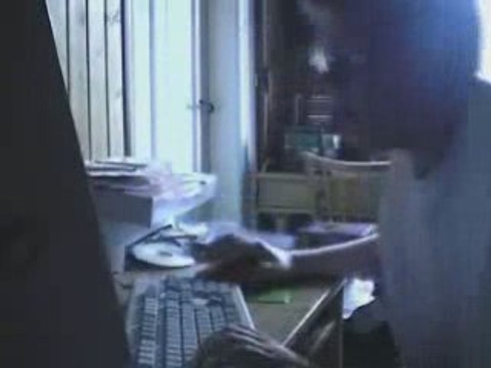 Comportement De Fou (Petit Hans)