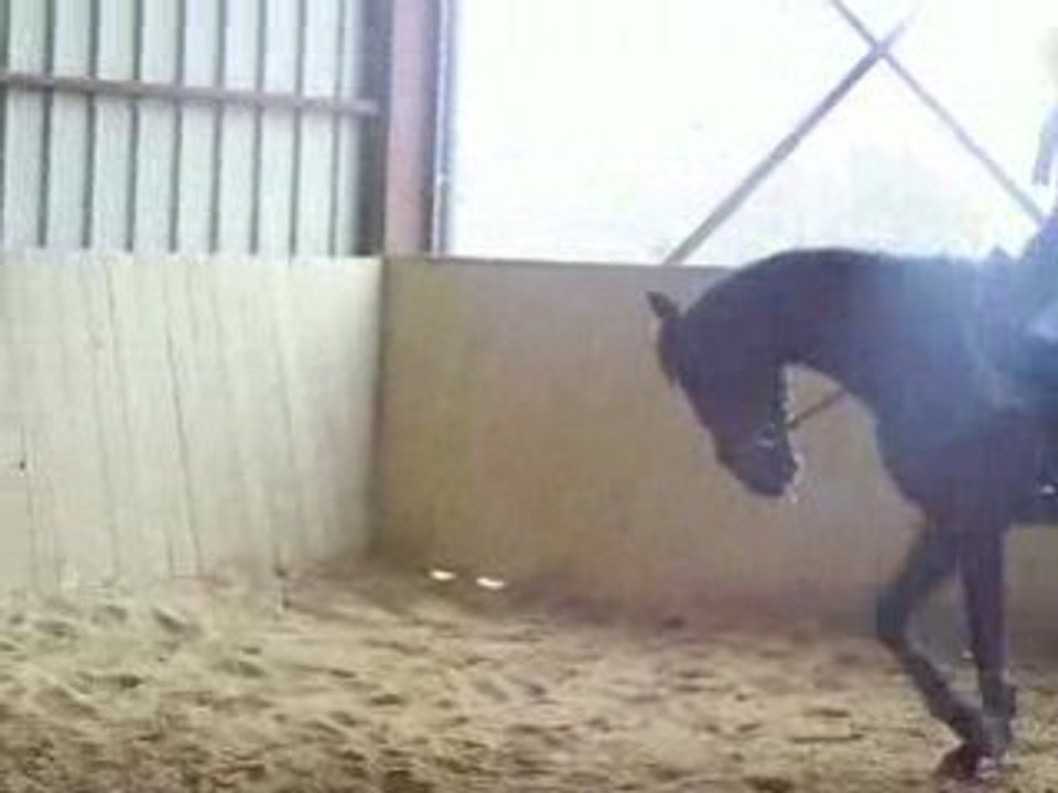 Vidéo de QUEL ROCHELAIS