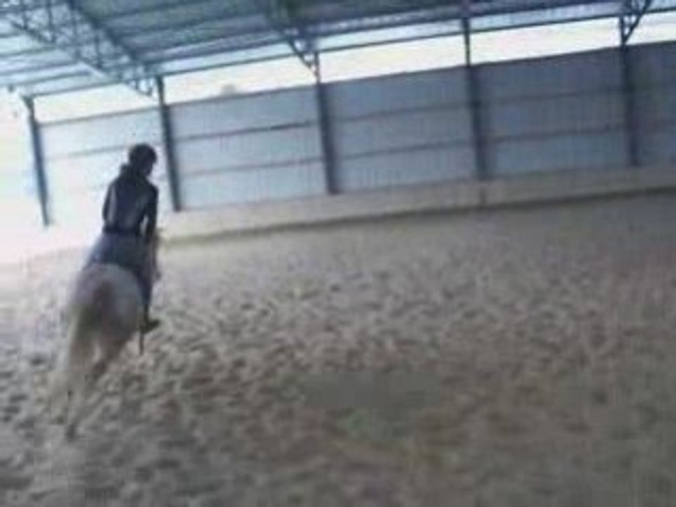 Cession doubles poneys