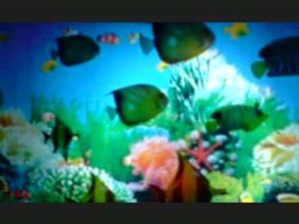 Hakimakli dilly dally