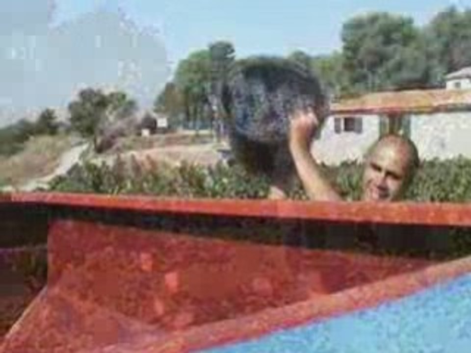 VENDANGES au Domaine de la Navicelle