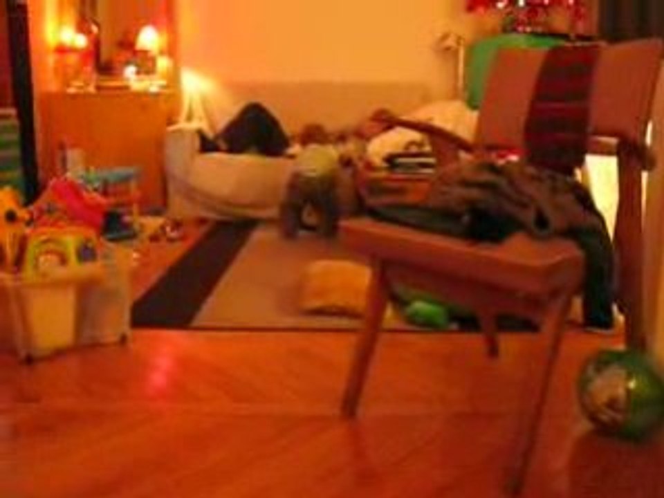 11 12 2008 008