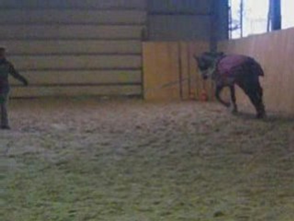 Séance du 14 12 08