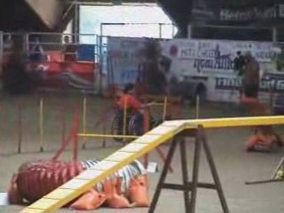 The Parcours Agility du 31 aot 2008