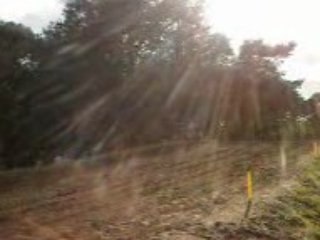 Championnat du monde mx2 lierop 2éme manche