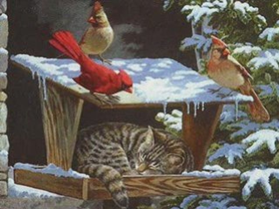 NIE BYŁO MIEJSCA DLA CIEBIE