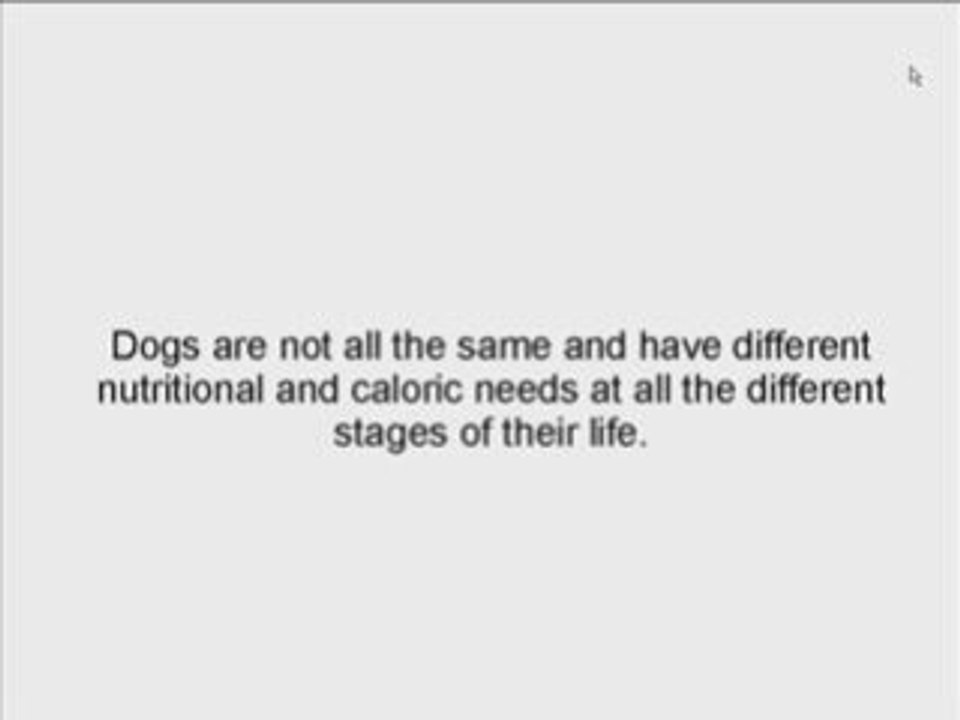 Homemade Dog Food Healthy For Your Dog - Easy, Tasty & Cheap