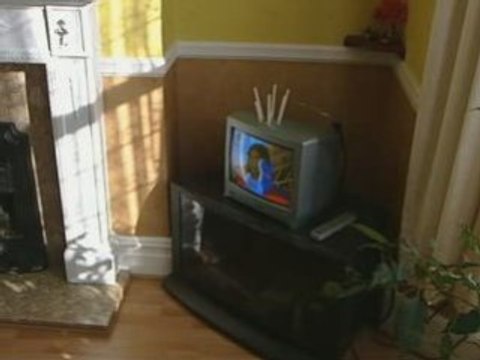 MPs are calling for a windfall tax on energy firms