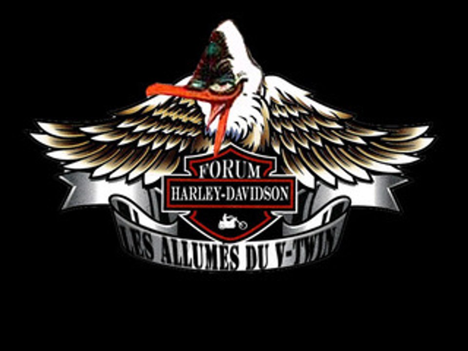 2008 ANNIVERSAIRE DU FORUM  Quelques photos