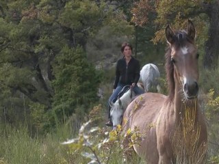 Ce que nous sommes réellement au plus profond de nous-mêmes