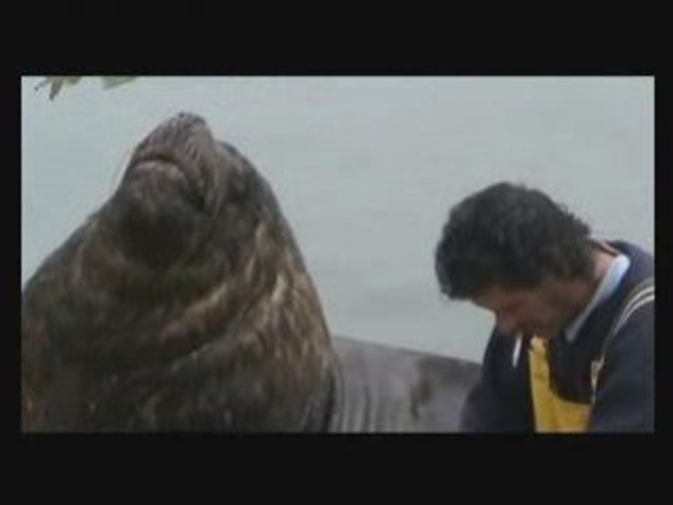 Loup de mer
