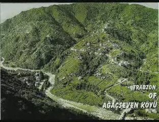 AĞAÇSEVEN (SAMRİ)