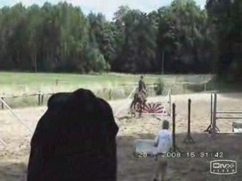 Stage avec Ivan Scherer : Dragon