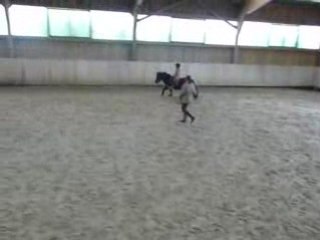 Ma Lili au galop