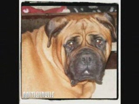 joyeux NOEL et bonne annee 2009 1