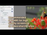 Picasa 3: A Photo and Video Editing Freeware