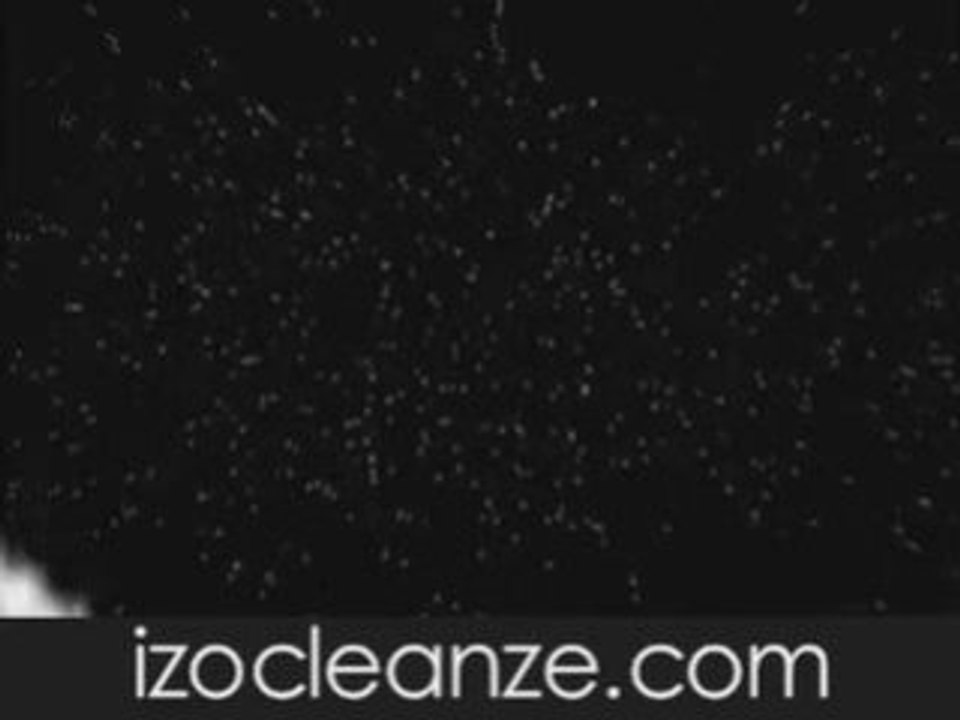 Delivered Meals, Juice Feasting Diet